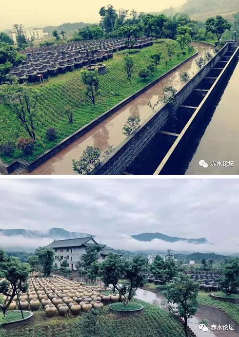 厂区环境.png