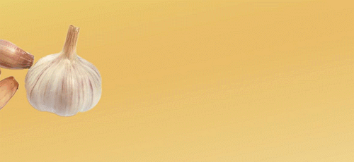 02.gif